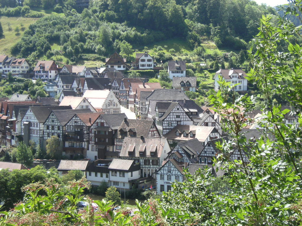Hotel-Gasthof Zum Weyssen Roessle شيلتاخ المظهر الخارجي الصورة