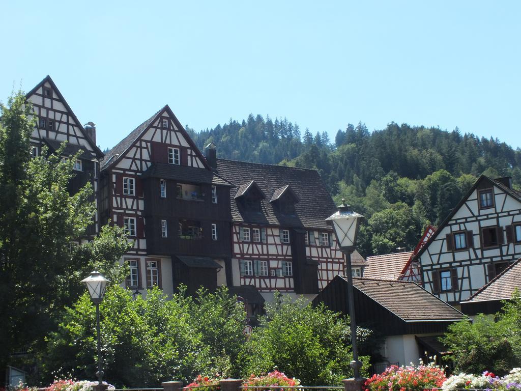 Hotel-Gasthof Zum Weyssen Roessle شيلتاخ المظهر الخارجي الصورة